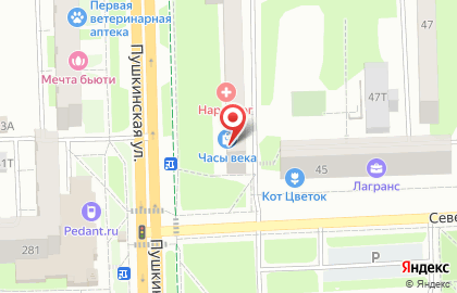 Горячие туры на Пушкинской улице на карте