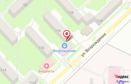 Ветеринарная клиника Возрождение на Псковской улице на карте