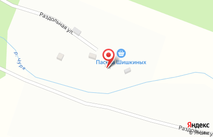 Пасека Шишкиных на карте