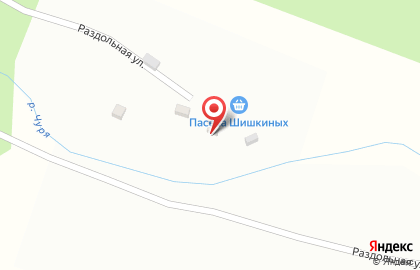 Пасека Шишкиных на карте