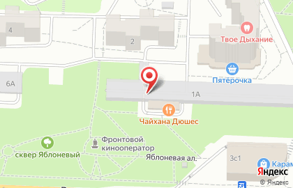 Автосервис Injectauto на Школьной улице на карте