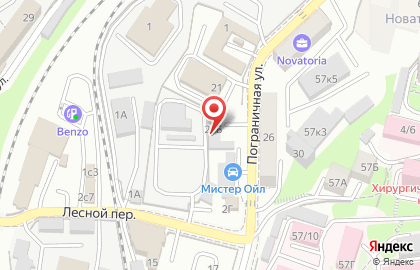 Автоцентр Шиновозоff на Пограничной улице на карте