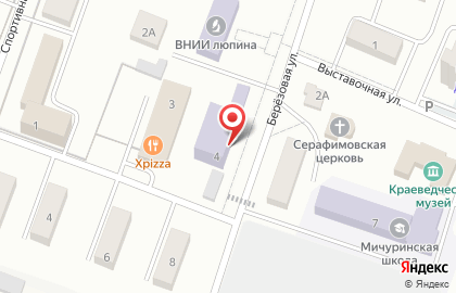 Столовая Брянский государственный аграрный университет на карте