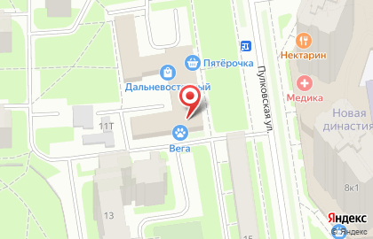 Ветеринарная клиника Вега на Пулковской улице на карте