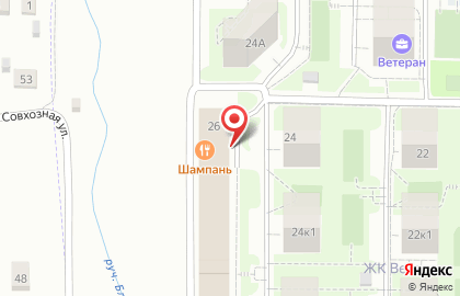 Супермаркет Магнит в Саранске на карте