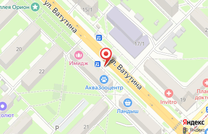 Киоск по продаже хлебобулочных изделий на улице Ватутина на карте