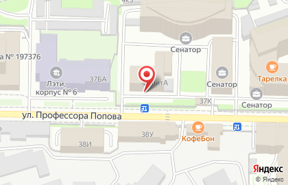 Дисплей Балтика на улице Профессора Попова на карте