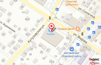 Магазин детских товаров Малыш на улице Видова на карте