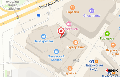 Частный автоинструктор на Заневском проспекте на карте