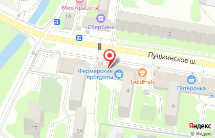 Магазин замороженных полуфабрикатов Элика на Пушкинском шоссе на карте