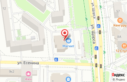 Бегемот на улице Есенина на карте