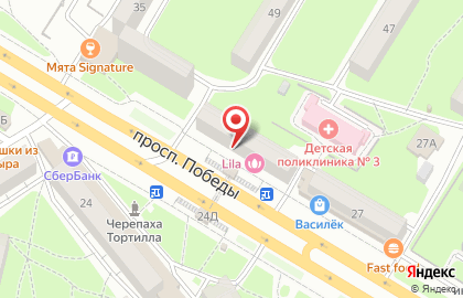 Магазин товаров для животных Зоосфера на проспекте Победы на карте
