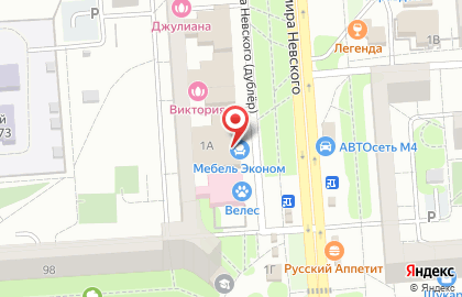 Электронный дискаунтер Ситилинк на улице Владимира Невского на карте