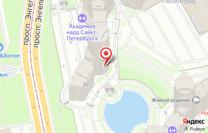 Салон красоты Рай на проспекте Энгельса на карте