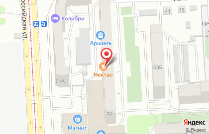 Сеть магазинов мясных полуфабрикатов Ариант на Российской улице, 63 на карте