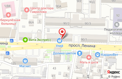 Торговая фирма Эко-Центр на проспекте Ленина на карте