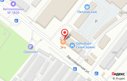 Патронажная служба Сестра на Лесозащитной улице на карте