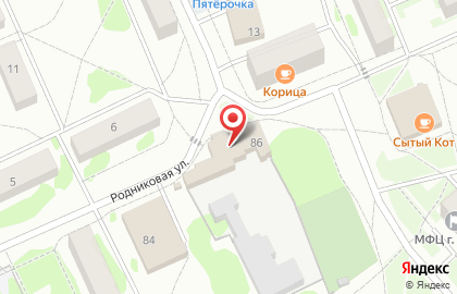 Мясной магазин Глазовская птица, мясной магазин на Родниковой улице на карте