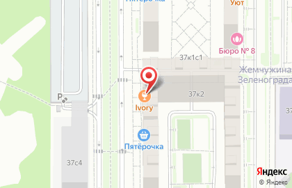 Магазин у дома Бристоль на Георгиевском проспекте на карте