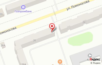 Центр сервисных услуг Рензачи на улице Ломоносова на карте
