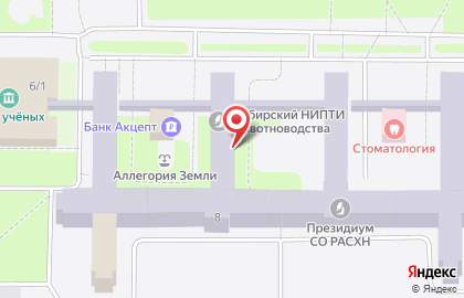 Фабрика спортивного инвентаря Артемис на Центральной улице на карте