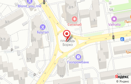 Автомобилист на улице Борко на карте