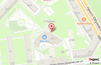 Супермаркет Магнит на Ново-Александровской улице на карте