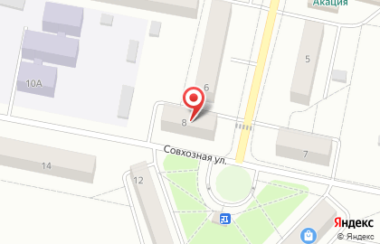 Арника на карте