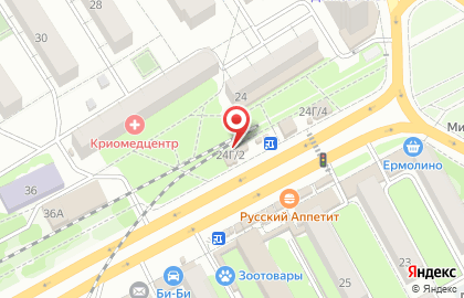 Киоск быстрого питания Русский аппетит на улице Ворошилова, 24/4 на карте