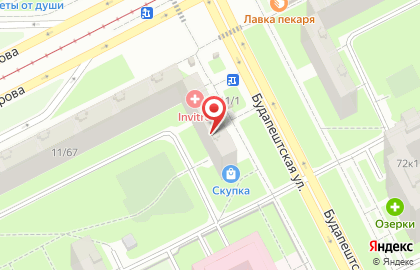 Ветеринарная клиника на улице Будапештская на карте