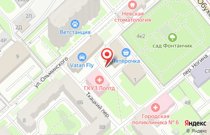 Севзапметаллургмонтаж на улице Ольминского на карте