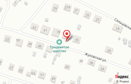 Производственная компания Тридевятое царство в Бежицком районе на карте