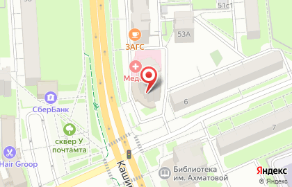 Клуб служебного собаководства Аргус в Домодедово на карте