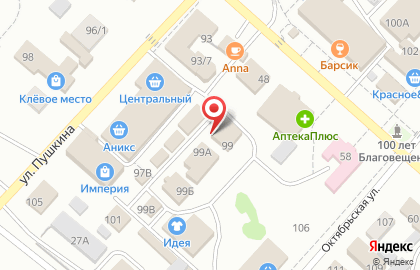 Фирменный магазин Xiaomi на улице Пушкина на карте