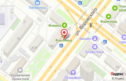 Сеть магазинов мясных полуфабрикатов Ариант на улице Воровского, 40 на карте