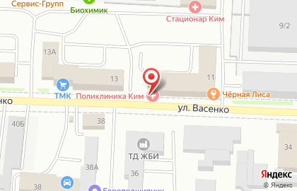 ООО ЛДЦ МИБС - Саранск на карте