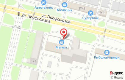 Евростоловая Берёза на улице Профсоюзов на карте