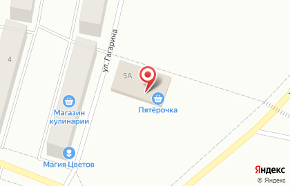Супермаркет Дикси на улице Гагарина на карте