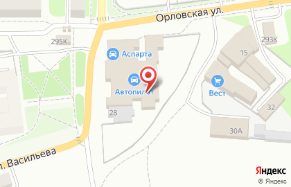 Магазин шин и дисков Vianor на Орловской улице на карте