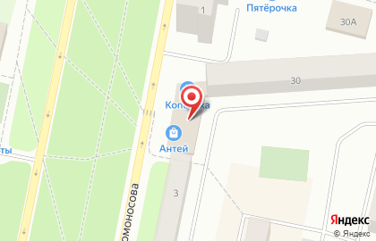 Магазин у дома Бристоль в Архангельске на карте