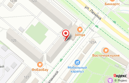 Цветочная лавка на улице Ленина на карте