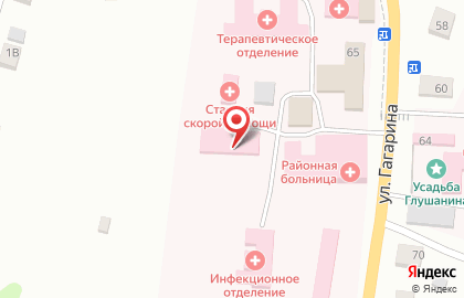 Опочецкая межрайонная больница на улице Гагарина на карте