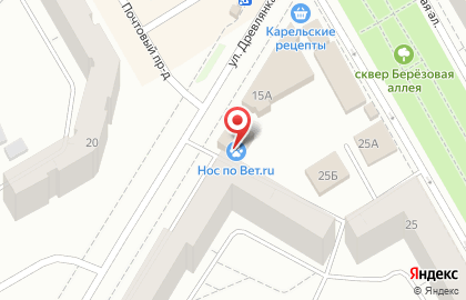 Ветеринарная клиника НОС по ВЕТ.ru на улице Древлянка на карте