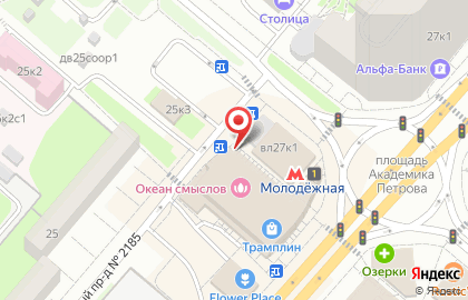 Сервисный центр Pedant.ru на карте
