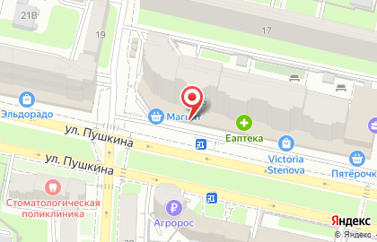 Магазин продуктов здорового питания ВкусВилл на улице Пушкина на карте