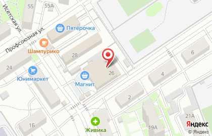 Олес на улице Бородина на карте