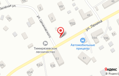 Тимирязевское лесничество на проспекте Ленина на карте