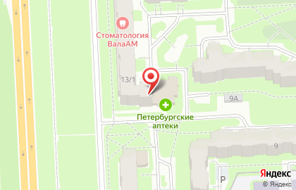 Петербургские аптеки на улице Генерала Хазова на карте