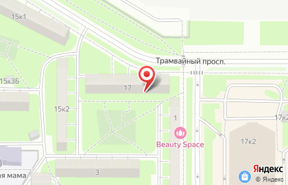 Российские Меха на Трамвайном проспекте на карте