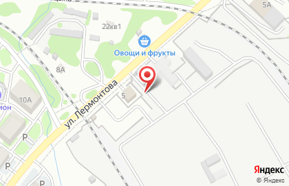 Дельта Сервис на улице Лермонтова на карте